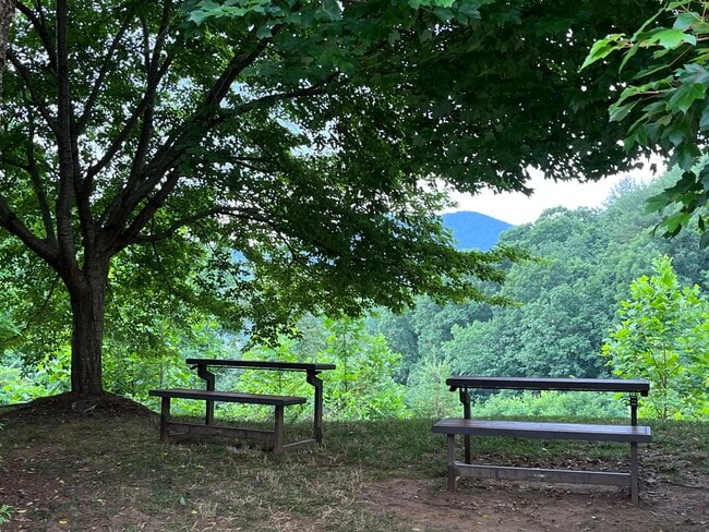 Community Picnic Tables to enjoy the mountain view - 2000 Olde Eastwood Village Blvd
