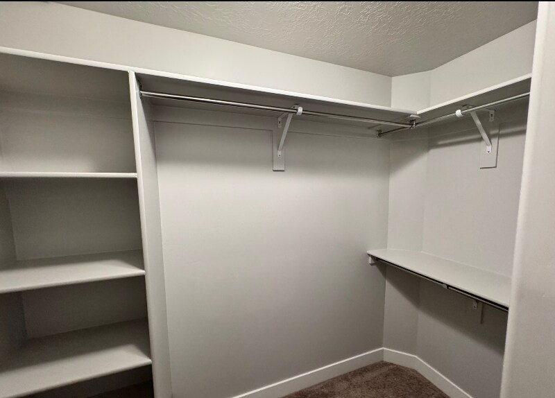 Building Photo - 14541 Juniper Shade Dr