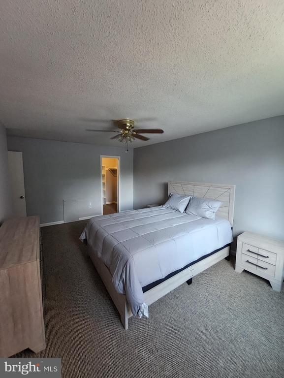 Building Photo - 3825 Hamilton St