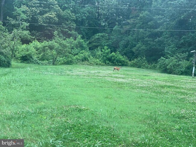 Building Photo - 63 Lincoln Dr