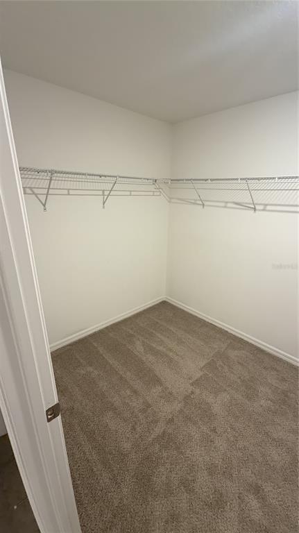 Building Photo - 7419 Rosy Periwinkle Ct