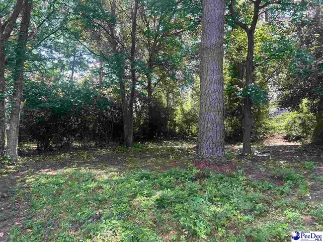 Building Photo - 1308 Wenonah Dr