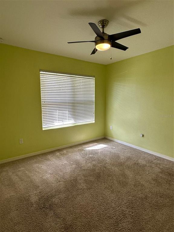 Building Photo - 521 White Coral Ln