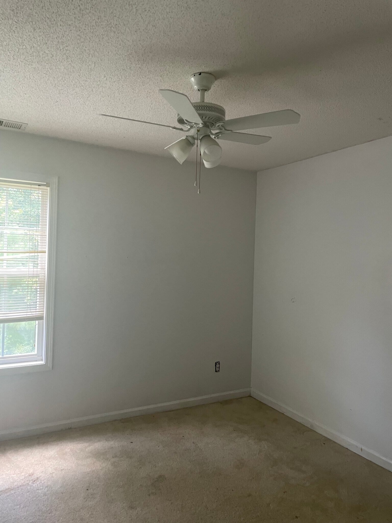 Building Photo - 221 Omega Ct