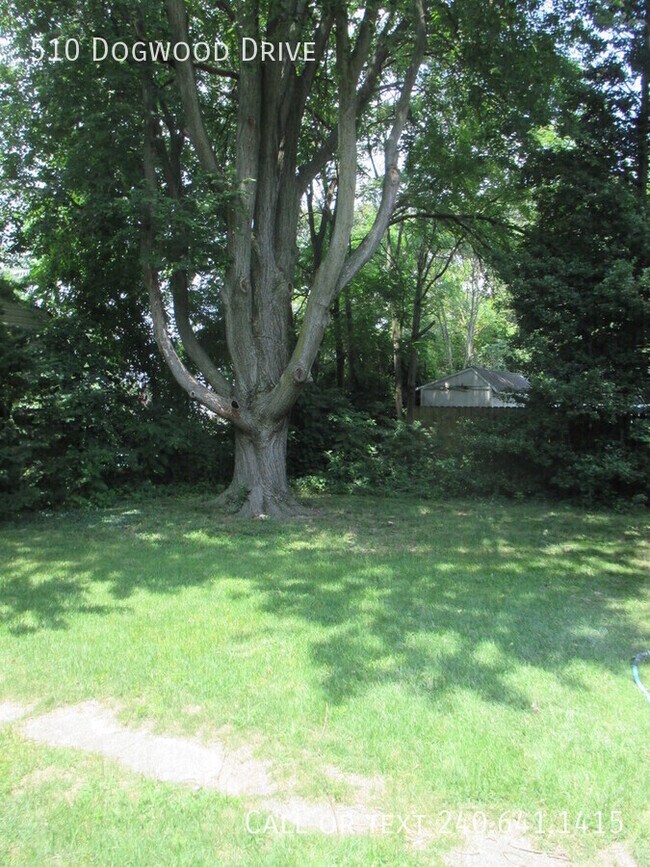 Building Photo - 510 Dogwood Dr