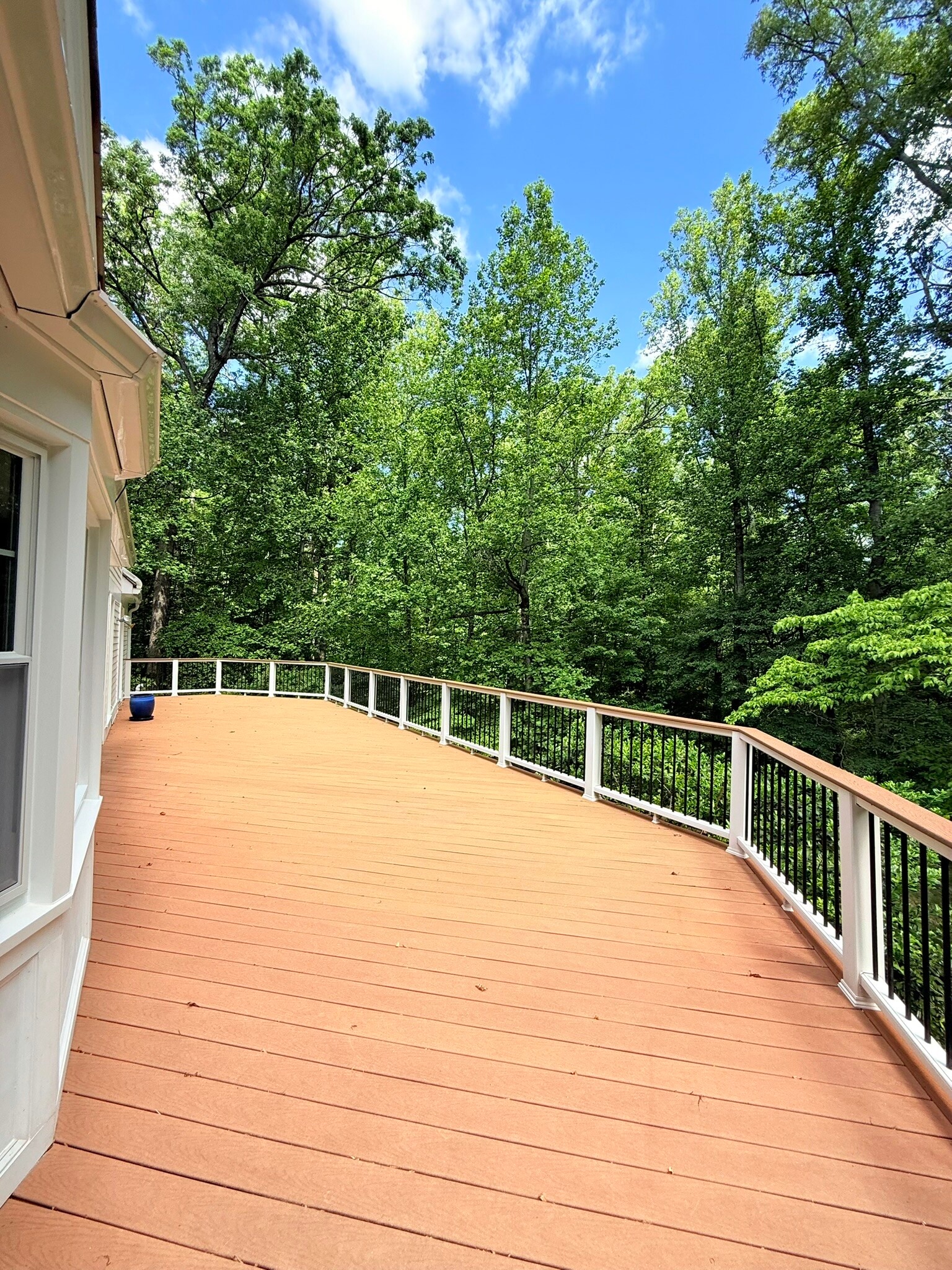 Large deck overlooking yard and private lot - 9248 Wood Glade Dr