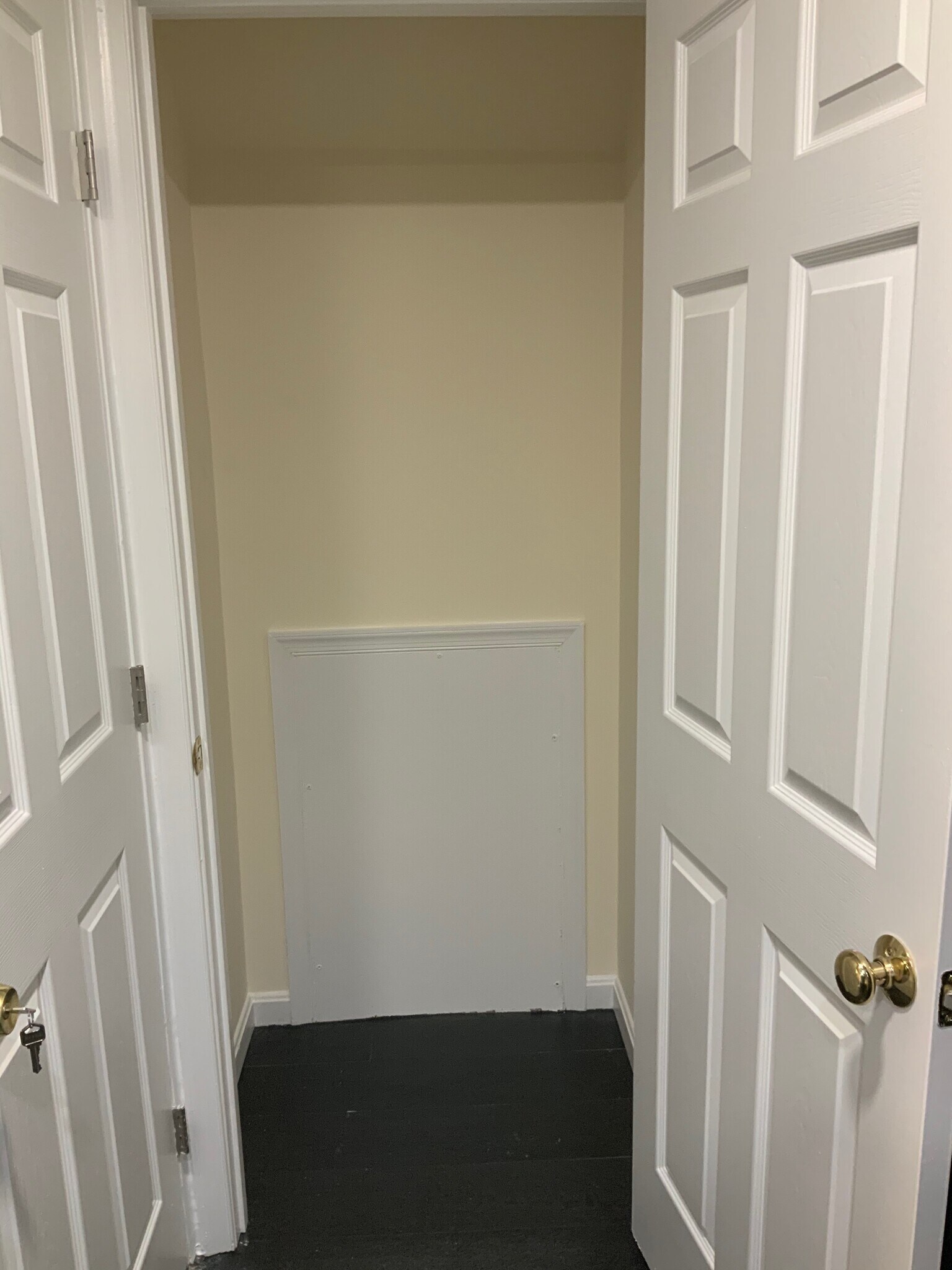 Kitchen Storage Closet - 246 Arcadia Shores Cir