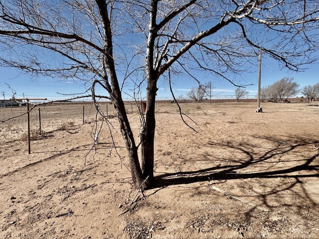 Building Photo - So Peaceful! Adorable Farmhouse 3/2/2 on a...