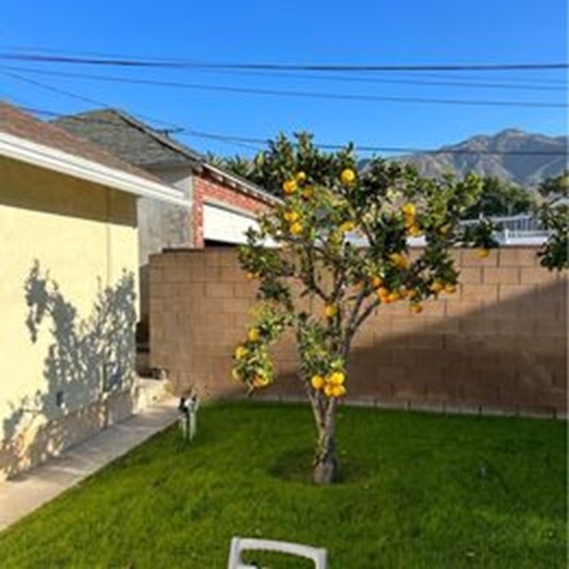 Front yard view - 837 E Santa Anita Ave