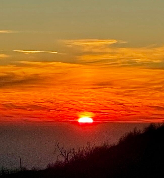 Building Photo - 28625 Willow Rd