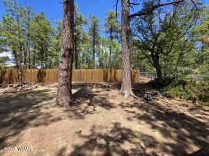 Building Photo - 1208 W Apache Ln