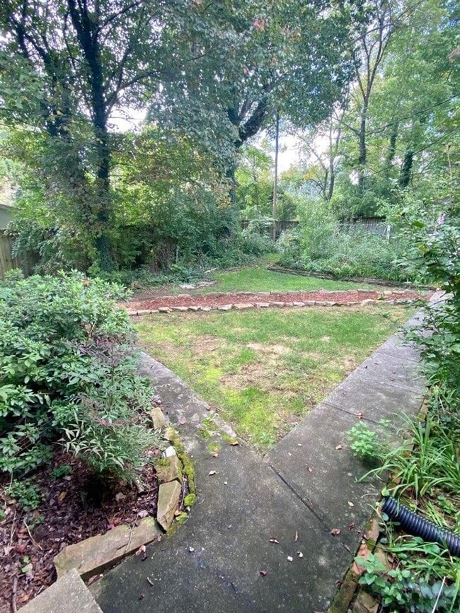 Building Photo - Fabulous Black Mountain Location!