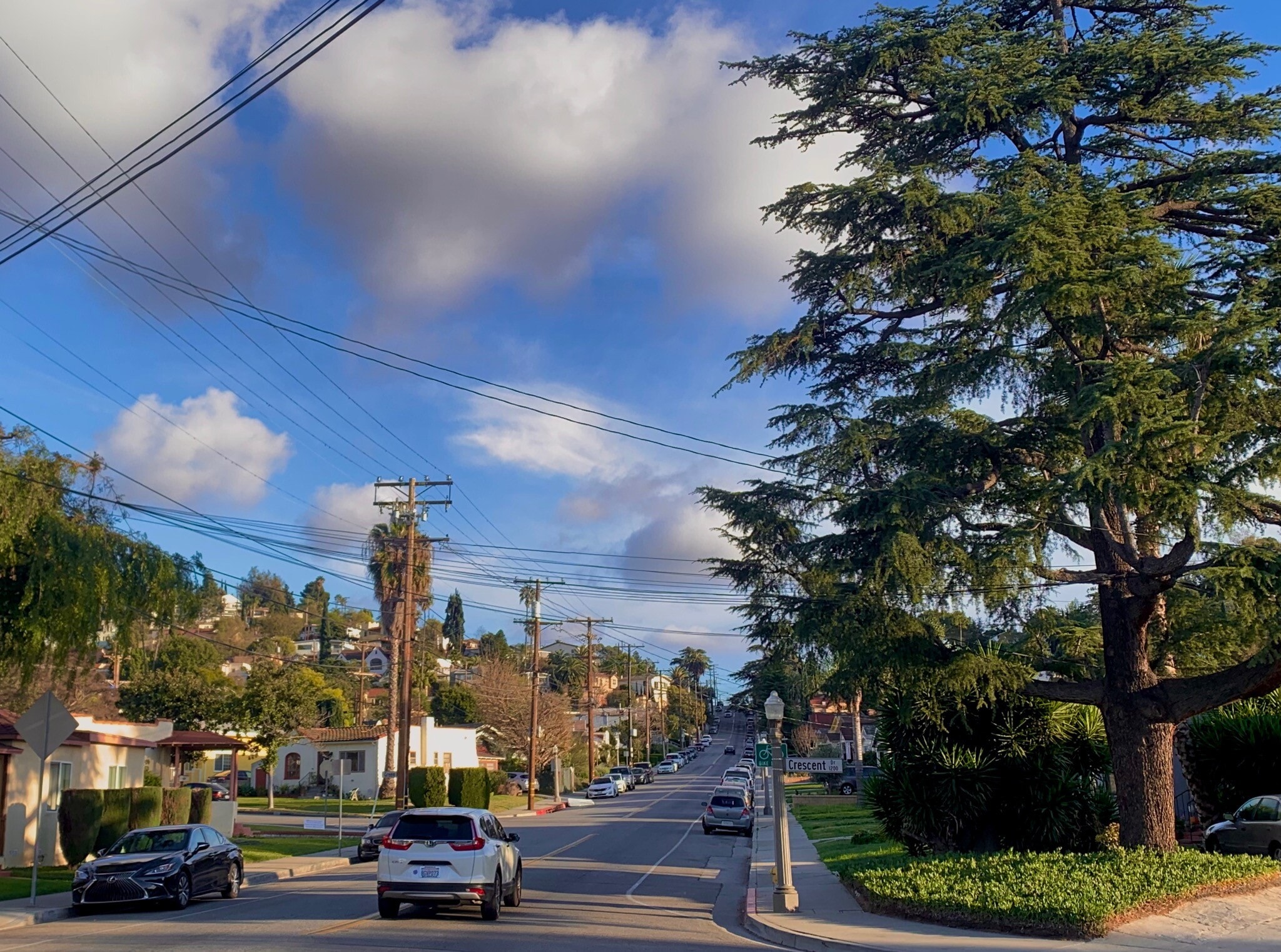 Building Photo - 1227 Crescent Dr