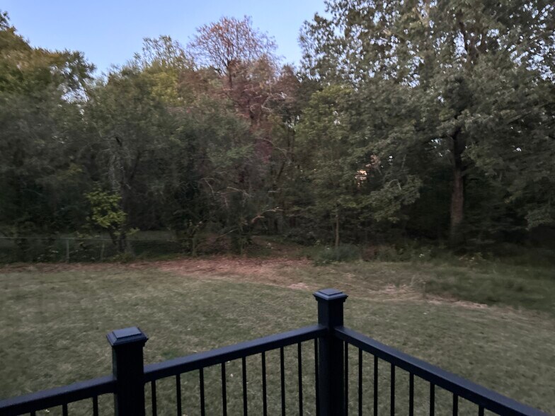 Backyard 1 - 421 High Point Rd