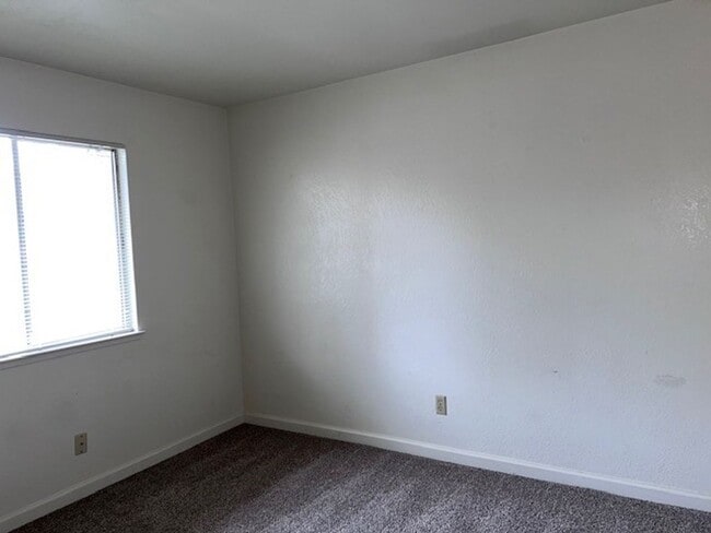 Building Photo - 4344003/41T