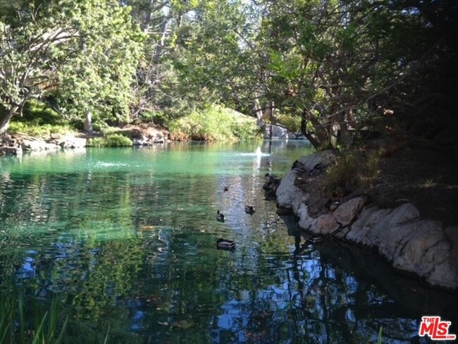 Building Photo - 1115 Raintree Cir