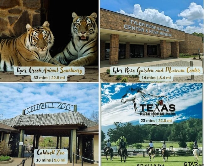 Building Photo - 10801 Harvest Wood Dr