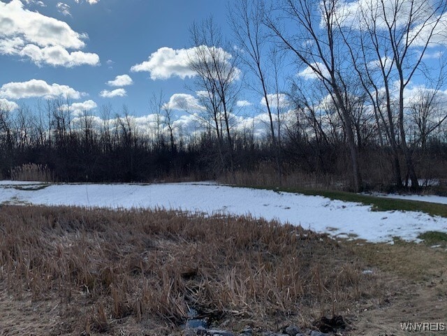 Building Photo - 9 Astor Ridge Dr