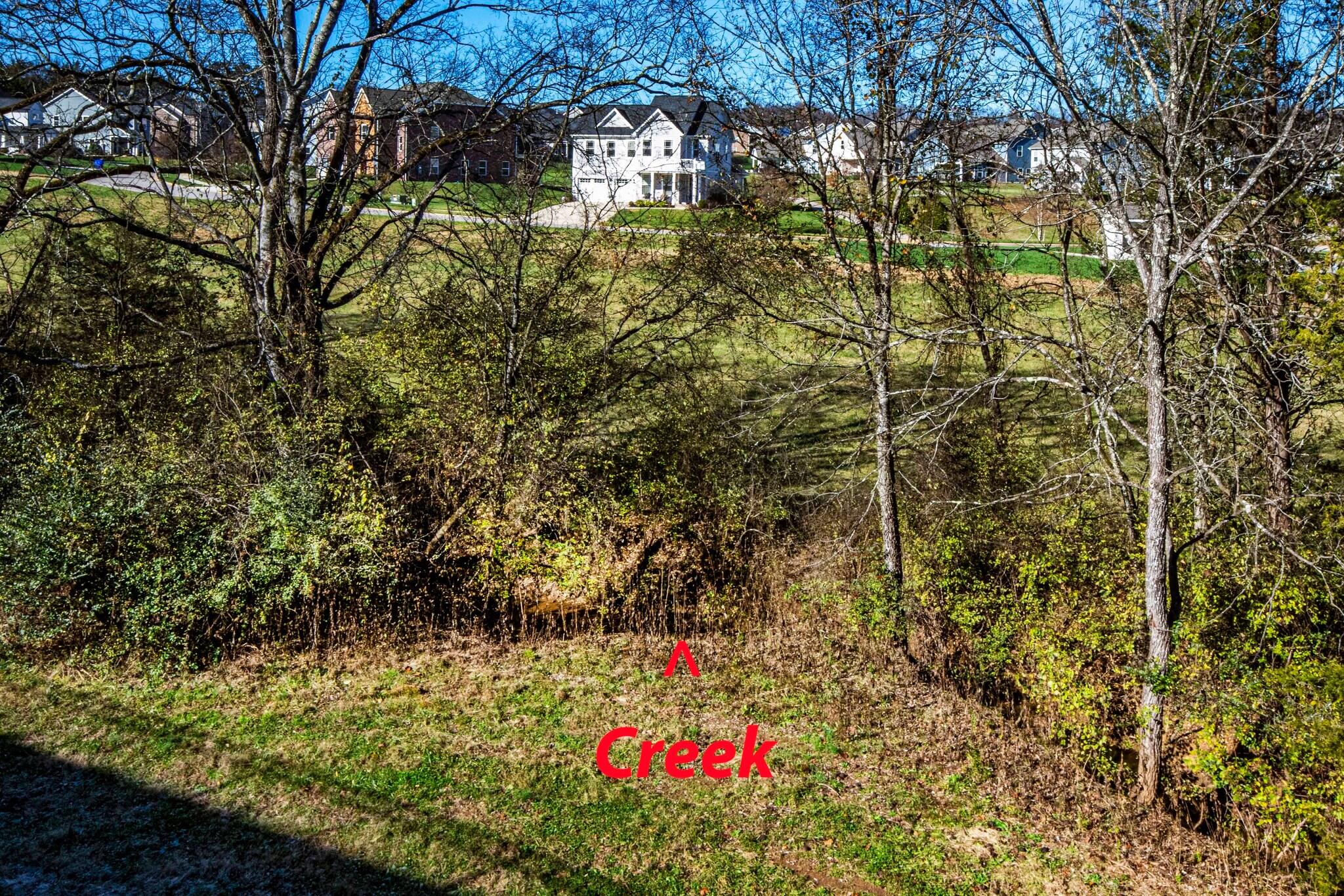 Building Photo - 12717 Duckfoot Ln