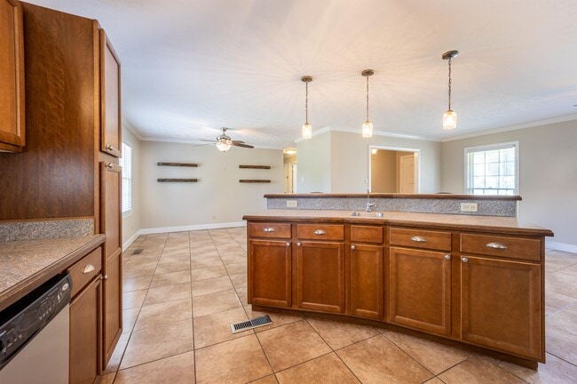 Building Photo - 407 Holly Dr