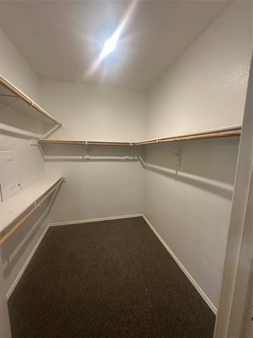 Building Photo - 1213 Gardenia Ln