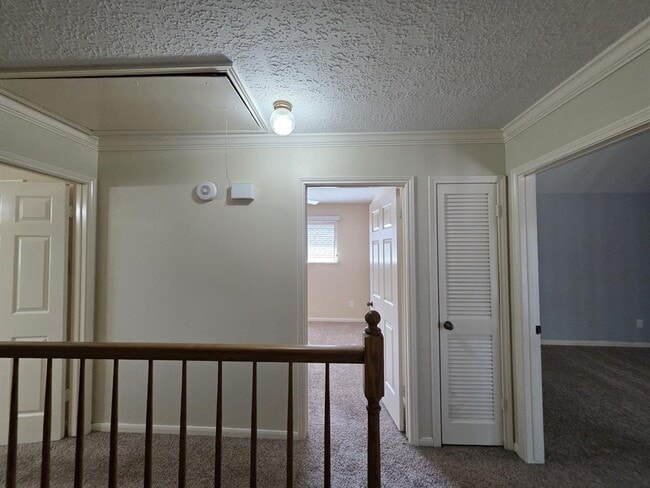 Building Photo - 4219 Meadowchase Ln