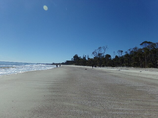 Building Photo - 101 Patrick Dr