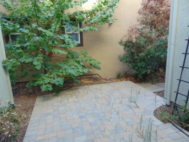 Building Photo - Beautiful 4 Bedroom, 3 Bath Mountain House...