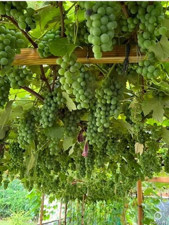 Building Photo - 35 Hicks Ave