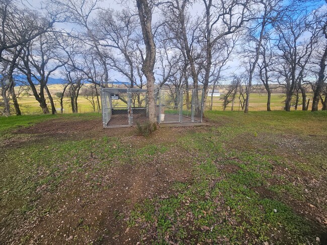 Building Photo - Spacious Home in the Country!