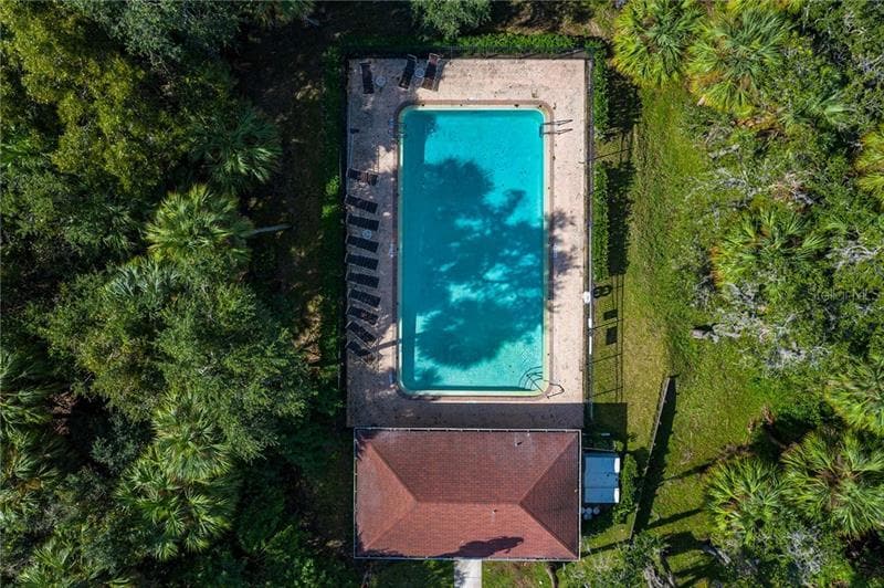 pool - 4822 Tuscan Loon Drive