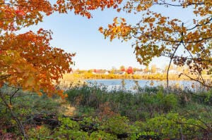 Building Photo - 1215 Corporate Dr