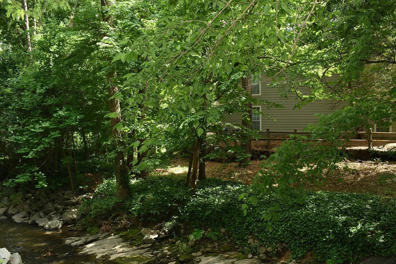 Creek beside the unit - 302 Lenox Way NE