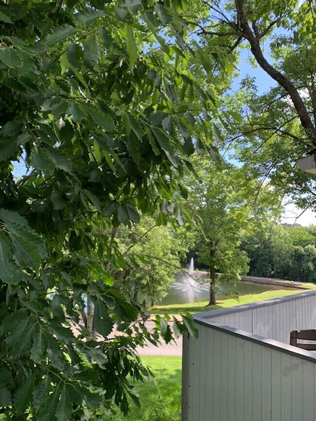 Building Photo - Spacious 3 bedroom 3.5 Baths 2 Home Office...