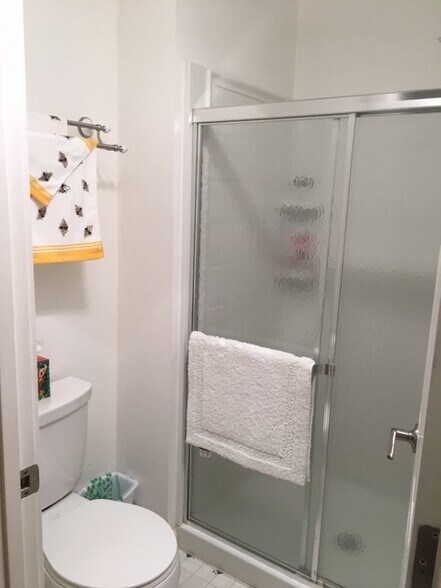 lower level bath - 205 Virginia Ave