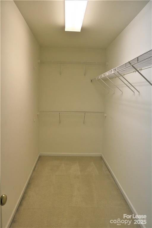 Building Photo - 913 Lillieshall Rd