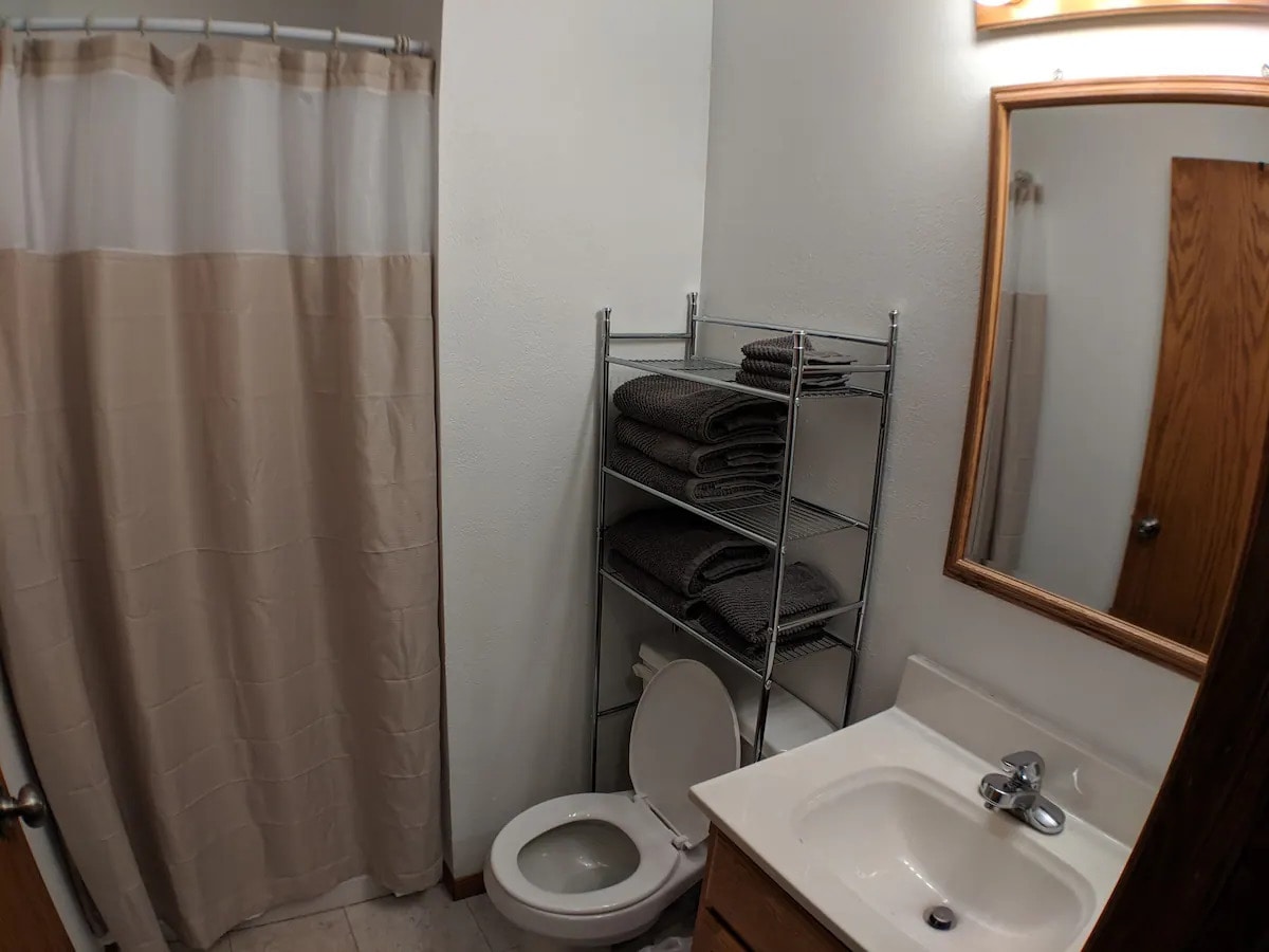 Downstairs Bathroom - 24424 178th St