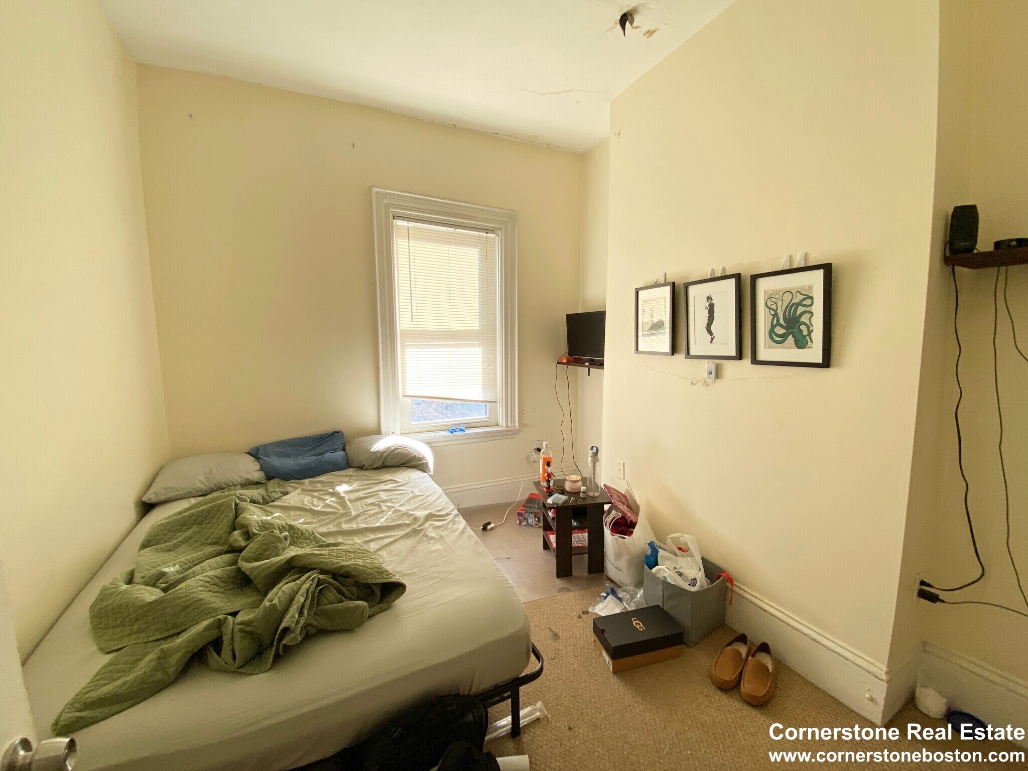 Building Photo - 31 Worthington St