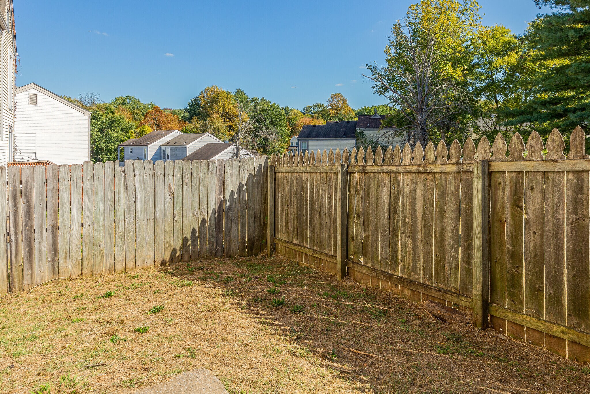 Building Photo - 802 Rachels Vw