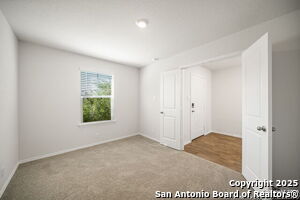 Building Photo - 1141 Barn Swallow Wy