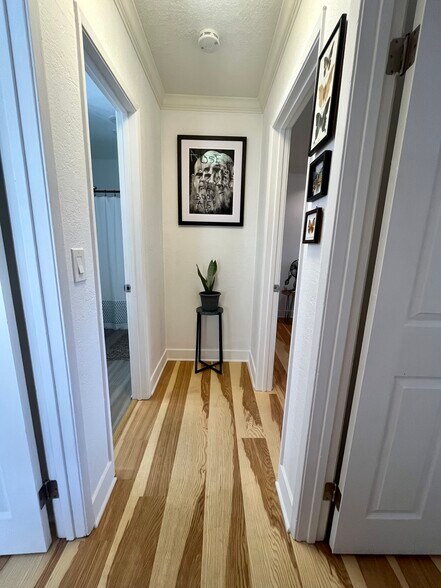 Building Photo - 1085 12th St