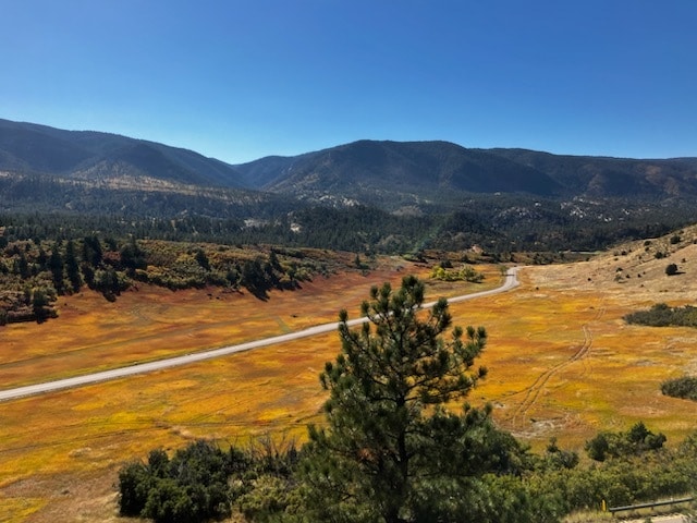 Building Photo - 4555 Sentinel Rock Terrace