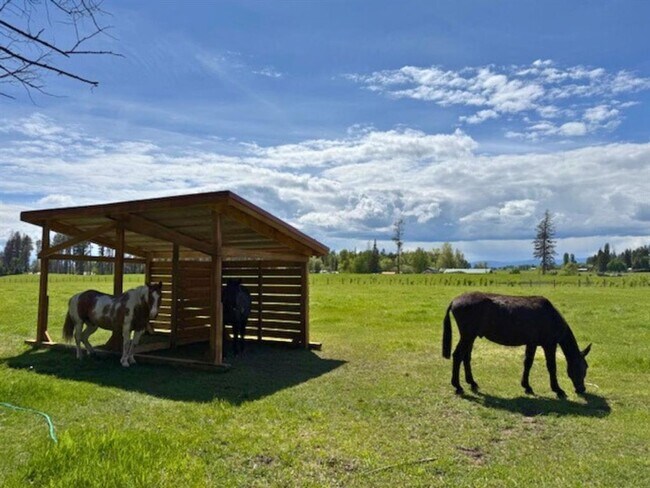 Building Photo - Stunning Columbia Falls Home w/horse pasture