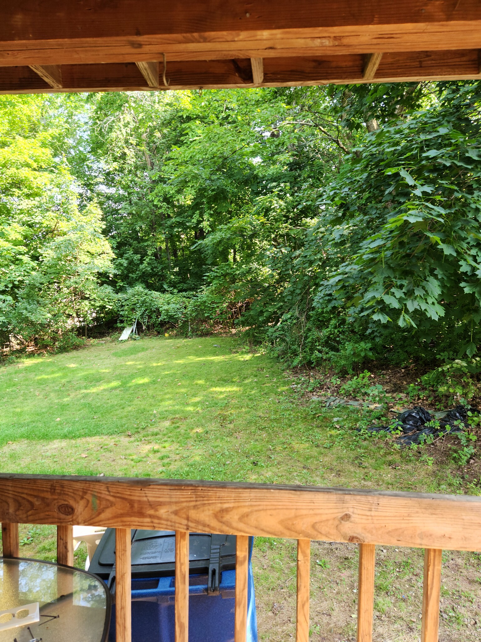 Backyard - 53 Morrison St