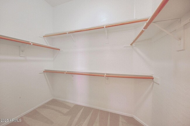 Building Photo - 10447 E Morning Star Dr