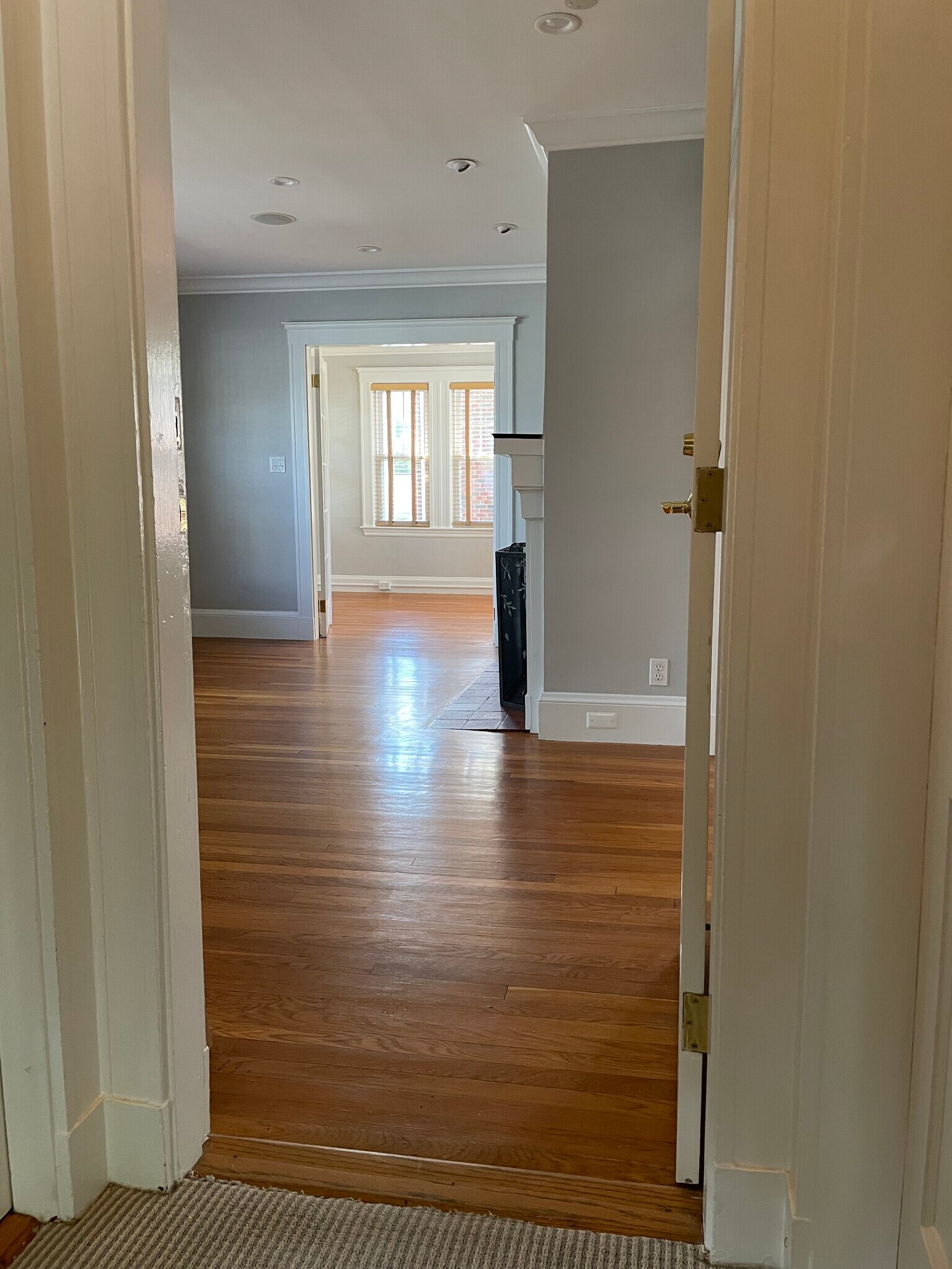 entrance to the apartment into the living room - 36 Gerald Rd