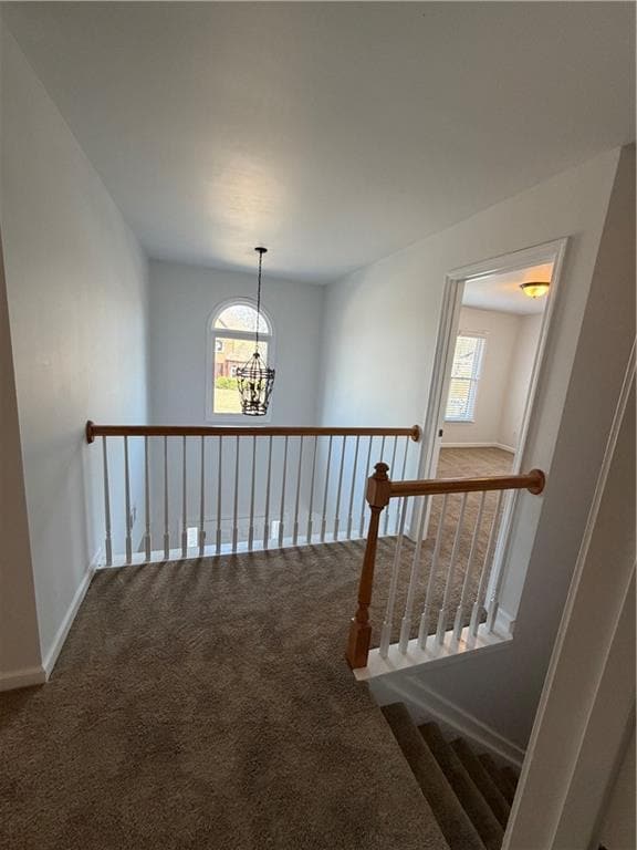 Building Photo - 505 Summer Breeze Ct.