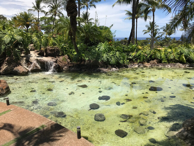 Building Photo - Gorgeous Wailea Palms Unit with ocean views!