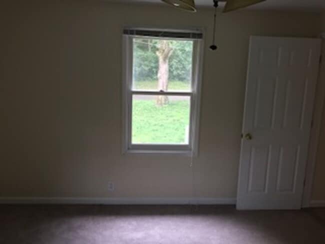 Building Photo - Roomy 1 Bedroom