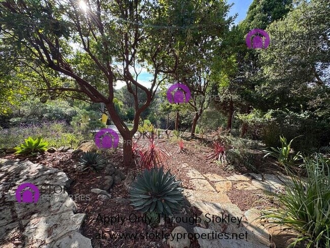 Building Photo - 155 Farallon Ct